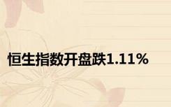 恒生指数开盘跌1.11%