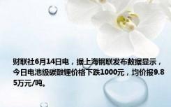 财联社6月14日电，据上海钢联发布数据显示，今日电池级碳酸锂价格下跌1000元，均价报9.85万元/吨。