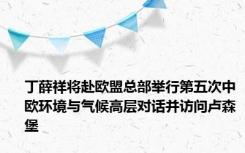 丁薛祥将赴欧盟总部举行第五次中欧环境与气候高层对话并访问卢森堡