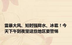 雷暴大风、短时强降水、冰雹！今天下午到夜里这些地区要警惕