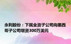 永利股份：下属全资子公司向墨西哥子公司增资300万美元