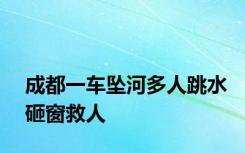 成都一车坠河多人跳水砸窗救人