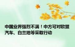 中国业界强烈不满！中方可对欧盟汽车、白兰地等采取行动