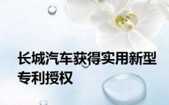 长城汽车获得实用新型专利授权