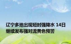 辽宁多地出现短时强降水 14日继续发布强对流黄色预警