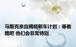 马斯克亲自揭晓新车计划：等着瞧吧 他们会非常特别