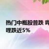 热门中概股普跌 哔哩哔哩跌近5%