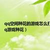 qq空间种花的游戏怎么打开（qq游戏种花）