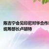 陈吉宁会见印尼对华合作牵头人、统筹部长卢胡特