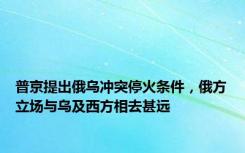 普京提出俄乌冲突停火条件，俄方立场与乌及西方相去甚远