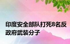 印度安全部队打死8名反政府武装分子