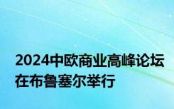 2024中欧商业高峰论坛在布鲁塞尔举行