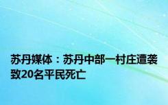 苏丹媒体：苏丹中部一村庄遭袭致20名平民死亡