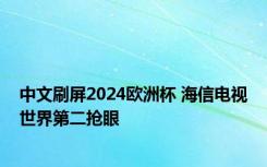 中文刷屏2024欧洲杯 海信电视世界第二抢眼