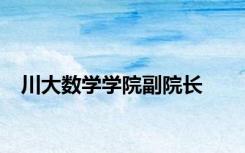 川大数学学院副院长