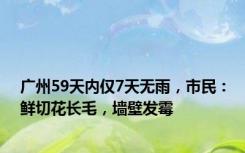 广州59天内仅7天无雨，市民：鲜切花长毛，墙壁发霉