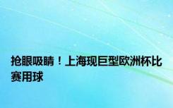 抢眼吸睛！上海现巨型欧洲杯比赛用球