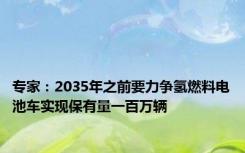 专家：2035年之前要力争氢燃料电池车实现保有量一百万辆