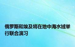 俄罗斯和埃及将在地中海水域举行联合演习