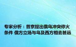 专家分析：普京提出俄乌冲突停火条件 俄方立场与乌及西方相去甚远