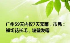 广州59天内仅7天无雨，市民：鲜切花长毛，墙壁发霉