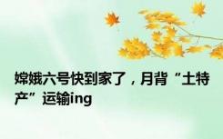 嫦娥六号快到家了，月背“土特产”运输ing