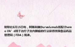 财联社6月15日电，阿斯利康Durvalumab搭配Chemo Ok’d用于治疗子宫内膜癌的疗法获得美国食品药品管理局（FDA）批准。