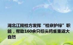 湖北江陵检方发挥“检察护绿”职能，帮助160余只棕头鸦雀重返大自然