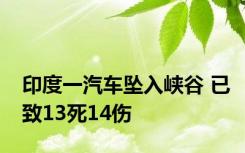 印度一汽车坠入峡谷 已致13死14伤