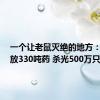 一个让老鼠灭绝的地方：7年投放330吨药 杀光500万只