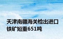 天津南疆海关检出进口铁矿短重651吨