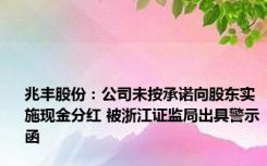 兆丰股份：公司未按承诺向股东实施现金分红 被浙江证监局出具警示函