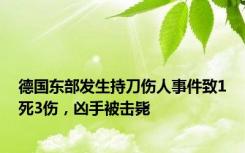 德国东部发生持刀伤人事件致1死3伤，凶手被击毙