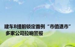 建车B提前锁定首例“市值退市” 多家公司拉响警报