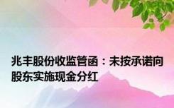 兆丰股份收监管函：未按承诺向股东实施现金分红