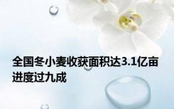 全国冬小麦收获面积达3.1亿亩 进度过九成