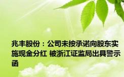 兆丰股份：公司未按承诺向股东实施现金分红 被浙江证监局出具警示函