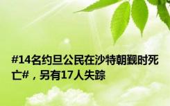 #14名约旦公民在沙特朝觐时死亡#，另有17人失踪