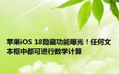 苹果iOS 18隐藏功能曝光！任何文本框中都可进行数学计算