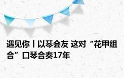 遇见你丨以琴会友 这对“花甲组合”口琴合奏17年