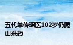 五代单传瑶医102岁仍爬山采药