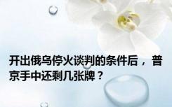 开出俄乌停火谈判的条件后， 普京手中还剩几张牌？