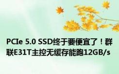 PCIe 5.0 SSD终于要便宜了！群联E31T主控无缓存能跑12GB/s