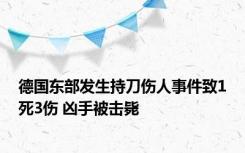 德国东部发生持刀伤人事件致1死3伤 凶手被击毙