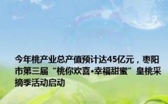 今年桃产业总产值预计达45亿元，枣阳市第三届“桃你欢喜·幸福甜蜜”皇桃采摘季活动启动