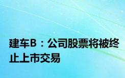 建车B：公司股票将被终止上市交易