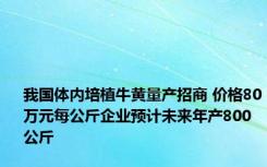 我国体内培植牛黄量产招商 价格80万元每公斤企业预计未来年产800公斤