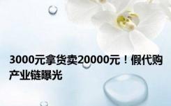 3000元拿货卖20000元！假代购产业链曝光