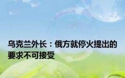 乌克兰外长：俄方就停火提出的要求不可接受