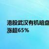 港股武汉有机暗盘交易涨超65%